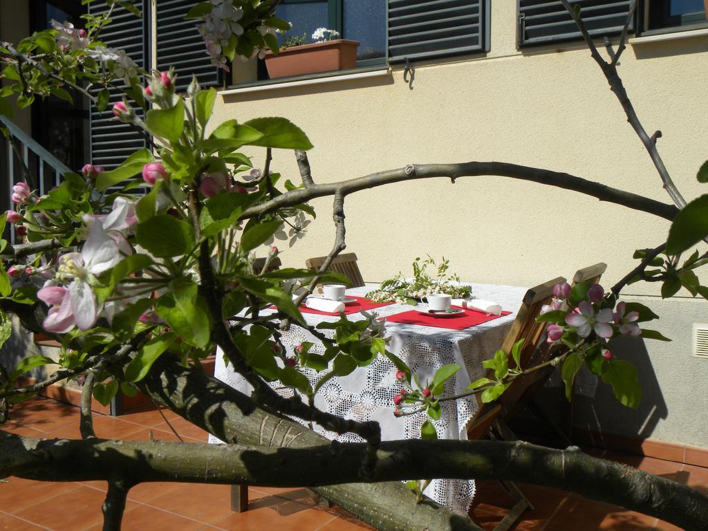 El Jardin de los Gatos Apartament Caces Exterior foto